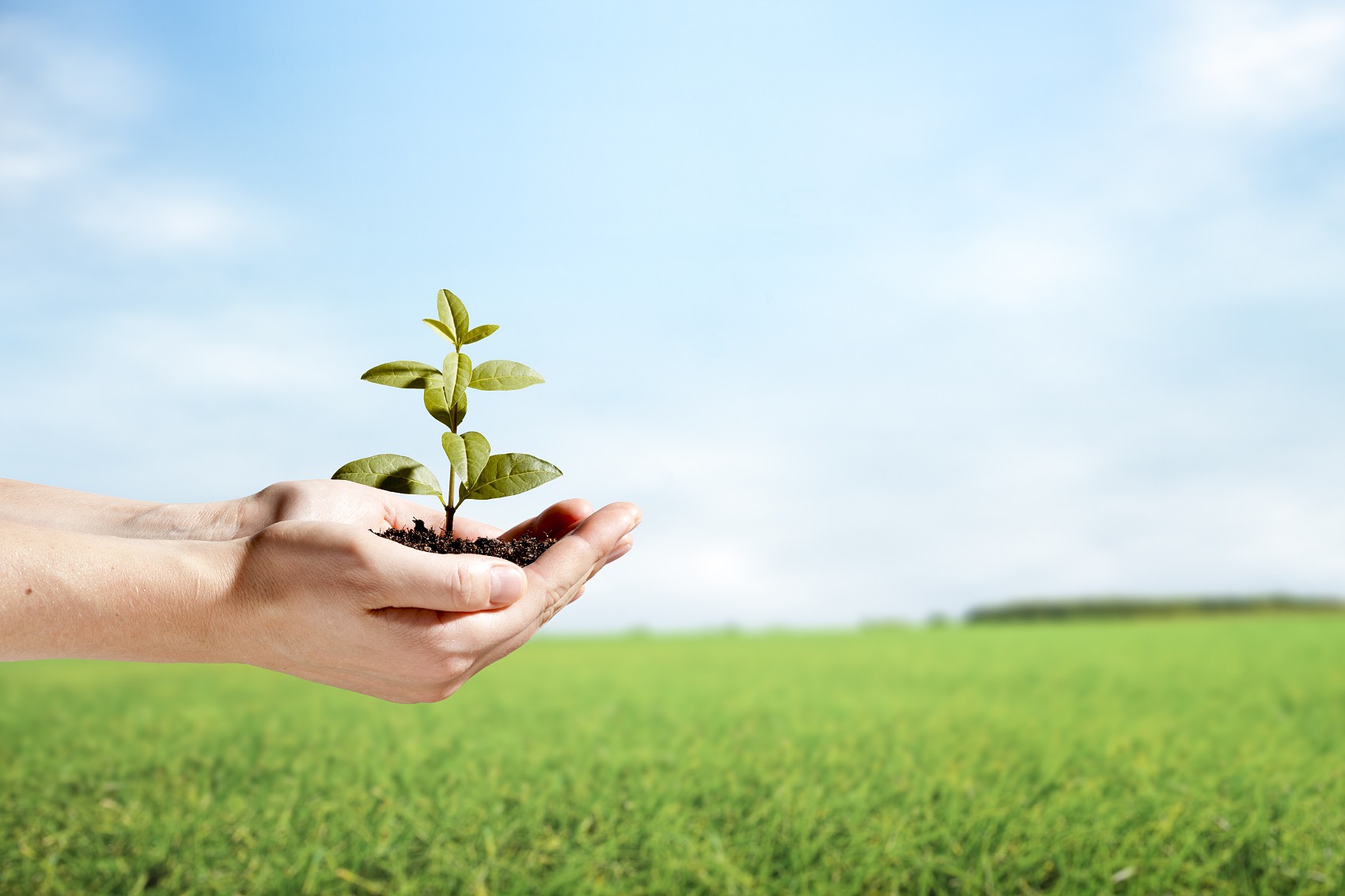 省節(jié)能協(xié)會袁亮秘書長、遂寧檢測公司戴云峰總經理一行蒞臨天晟源環(huán)保座談交流