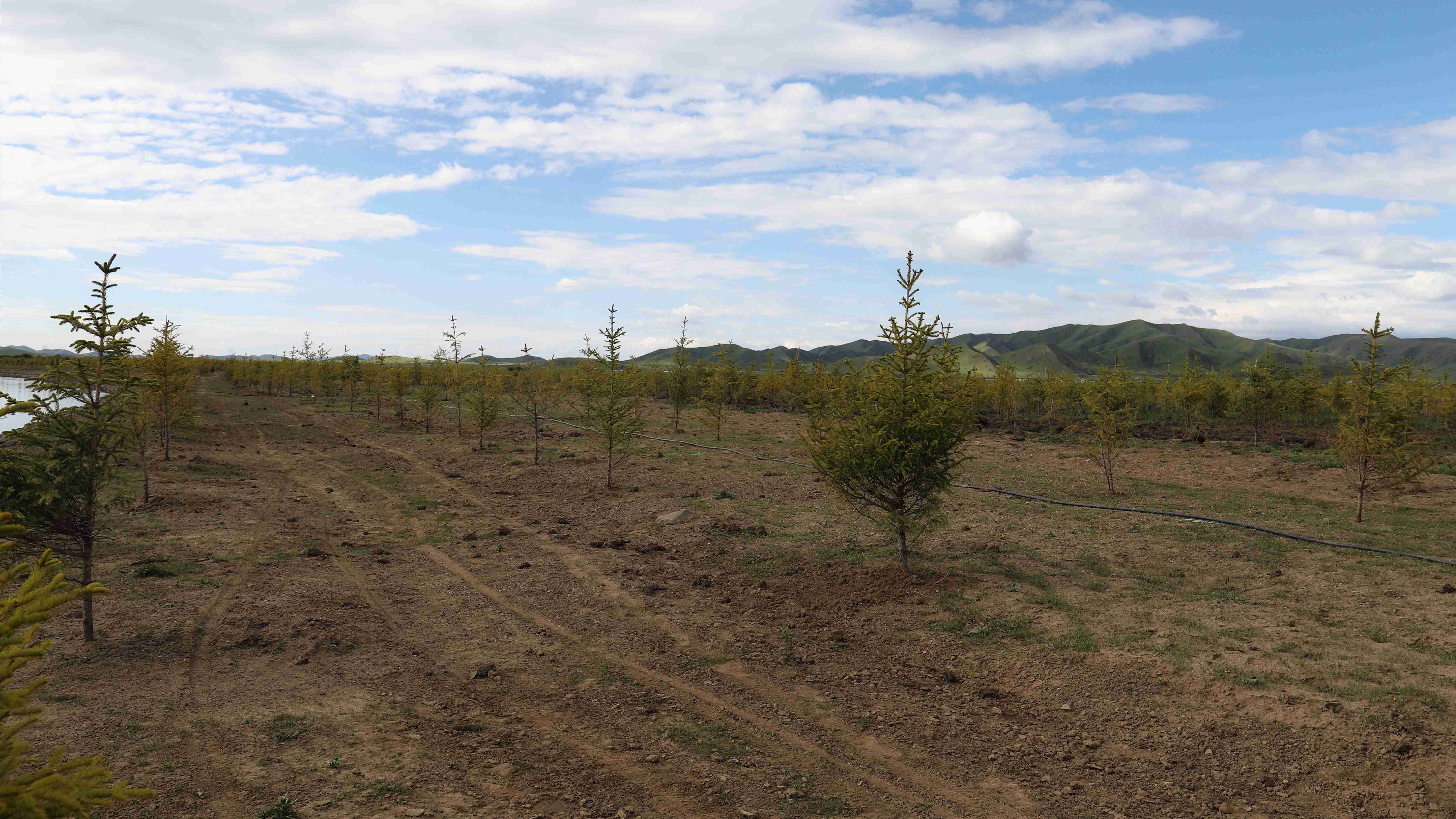 嚴守工程質量，筑牢生態(tài)屏障