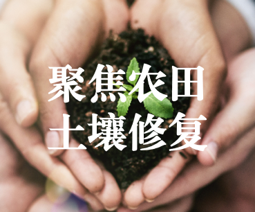 聚焦農田土壤修復，保障糧食產品安全 ——踔厲奮發(fā)、篤行不怠，以奮斗之姿獻禮黨的二十大